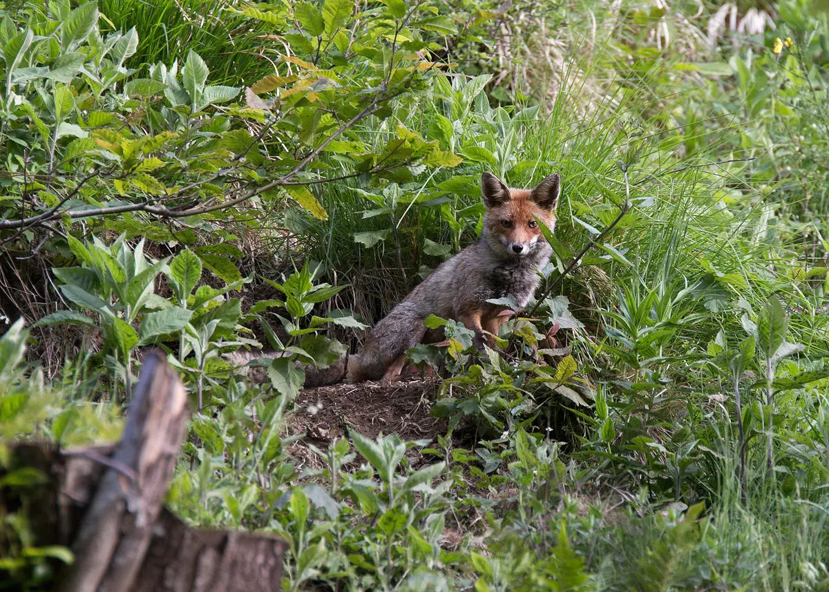 Educational and research activities at Oasyhotel