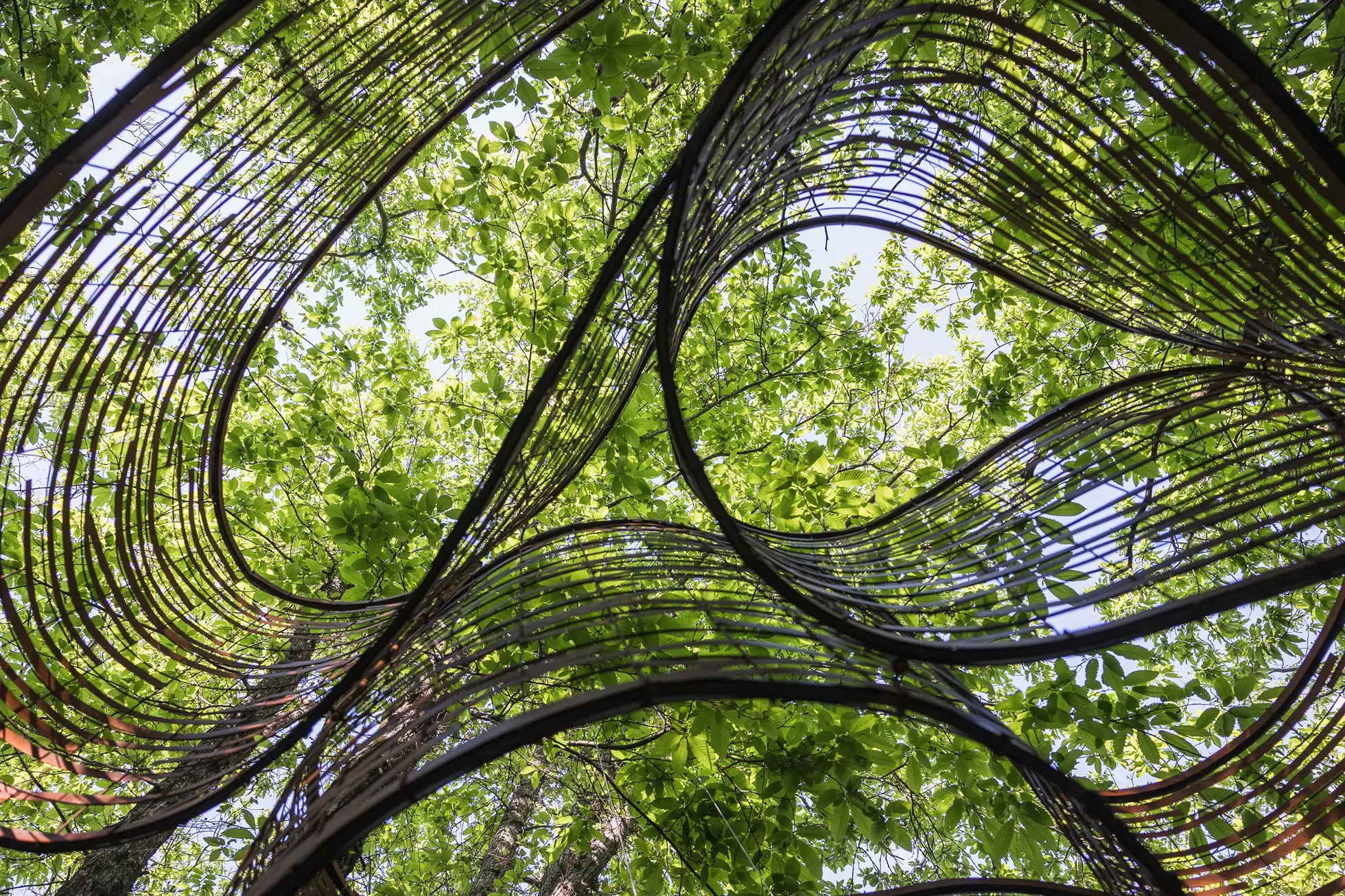 Oasy contemporary art and architecture