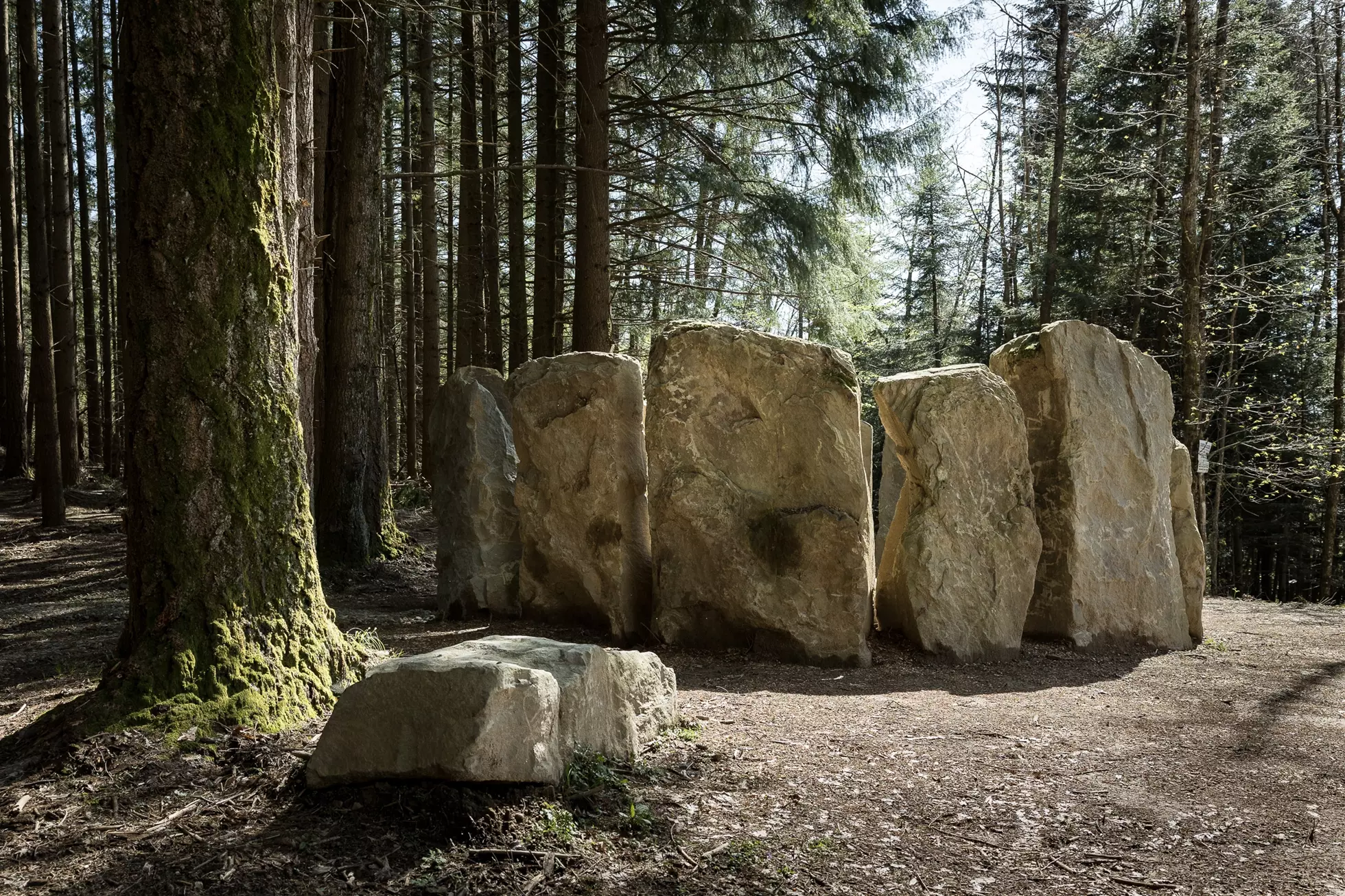 Cultural Experiences