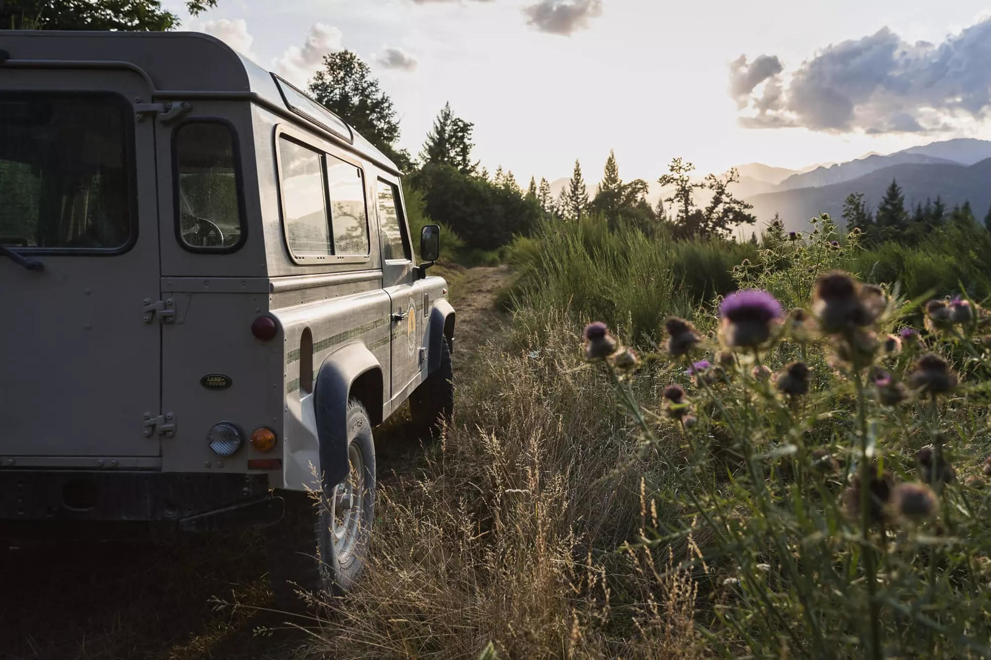 Essential Information for a Seamless and Memorable Stay