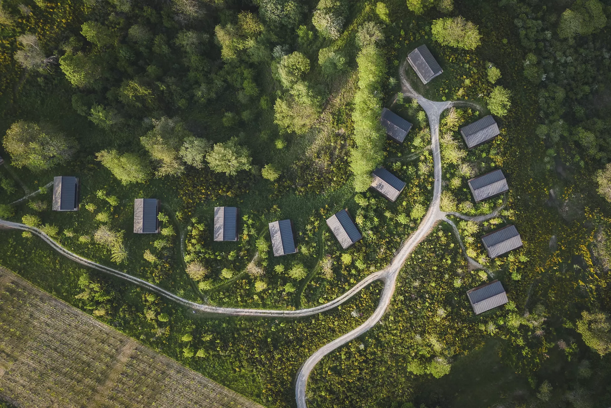 Hospitality at Oasyhotel