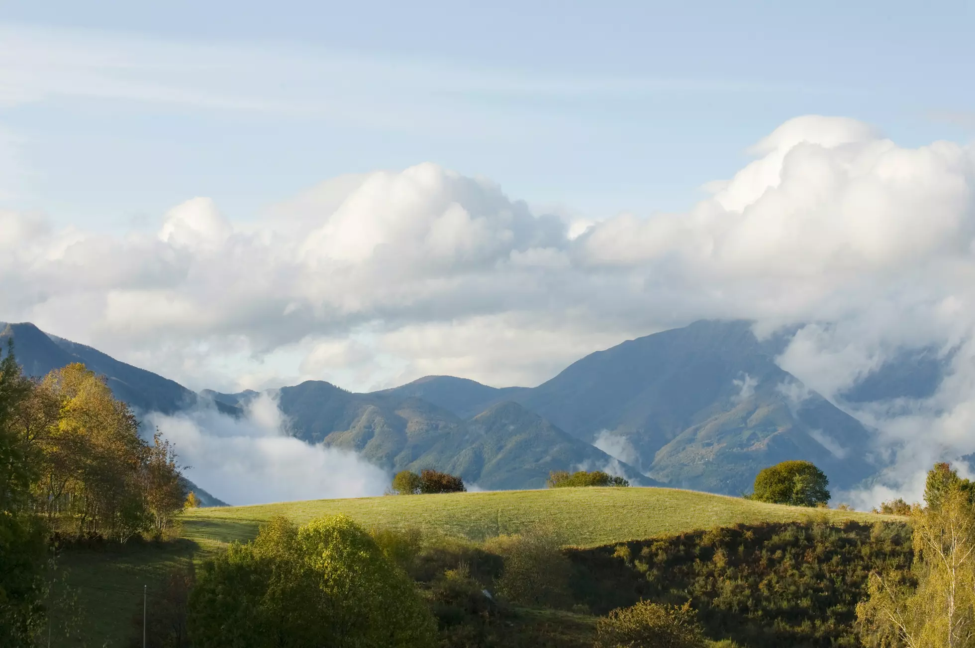 Endless Customization Possibilities