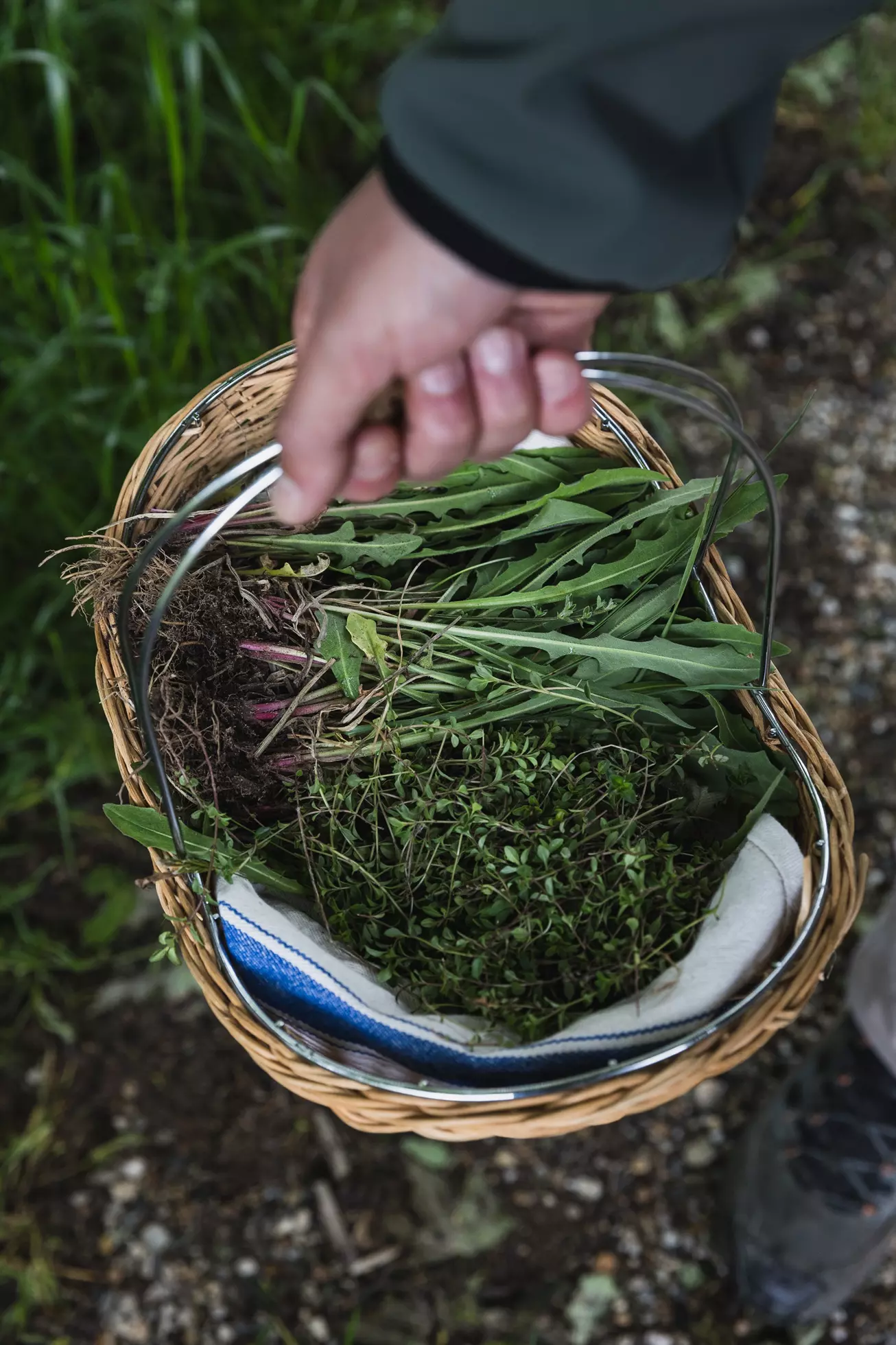 Our Farm-to-Table Commitment